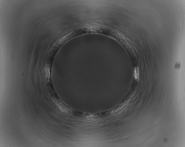 X0000098231155200805011251