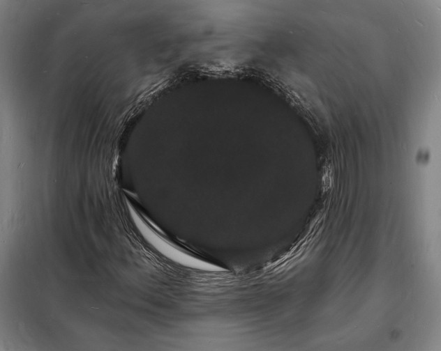 X0000098231156200805011251