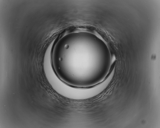 X0000098231157200805011251