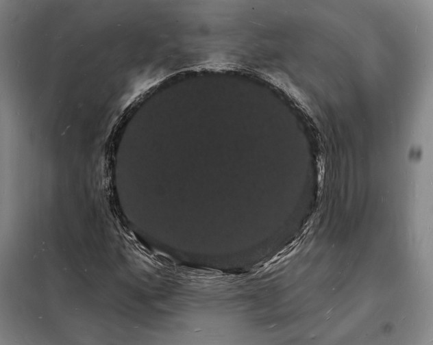 X0000098231160200805011251