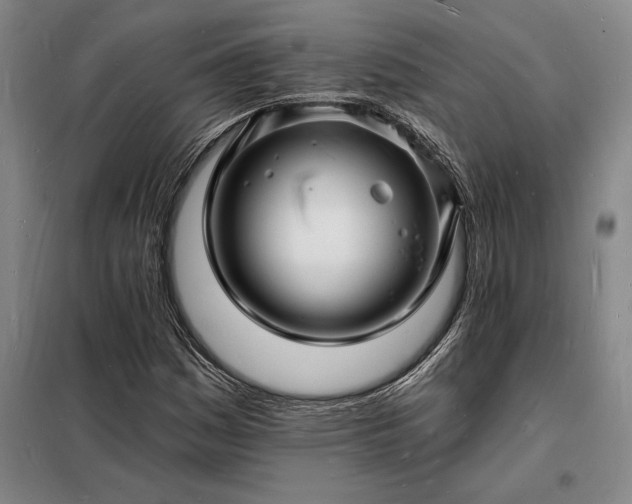 X0000098231161200805011251