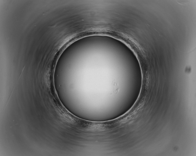 X0000098231162200805011251