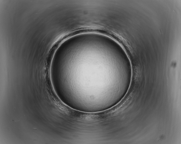 X0000098231163200805011251
