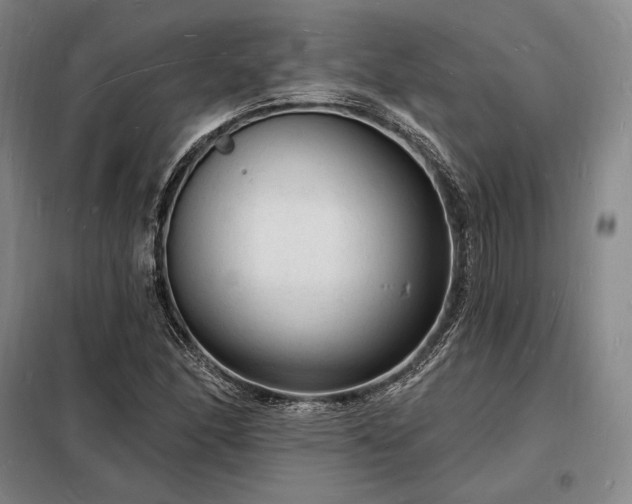 X0000098231166200805011251
