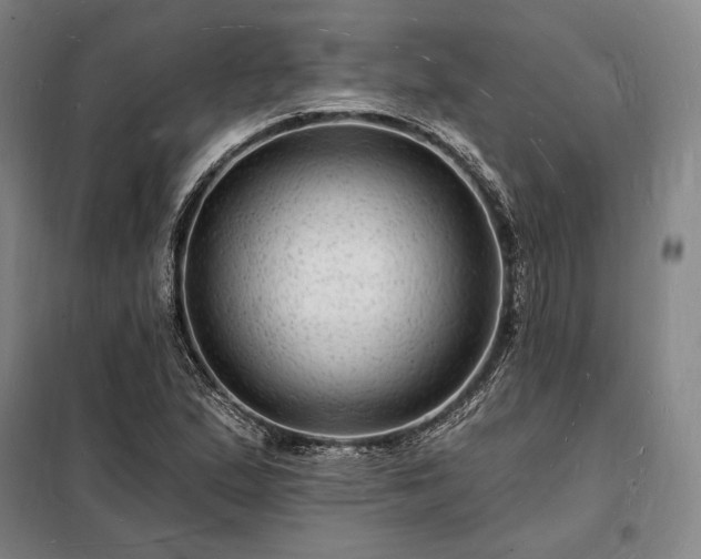 X0000098231167200805011251