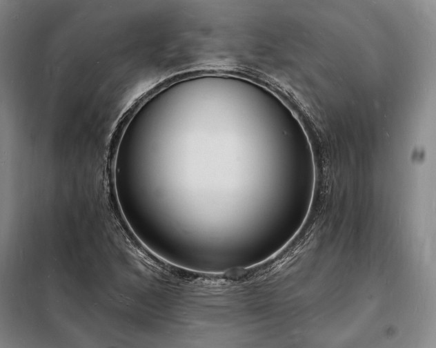 X0000098231168200805011251