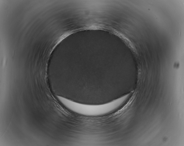 X0000098231170200805011251