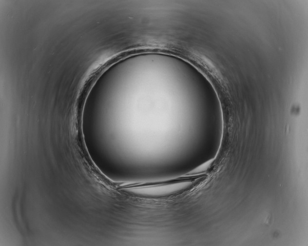X0000098231172200805011251