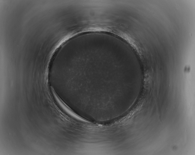 X0000098231173200805011251