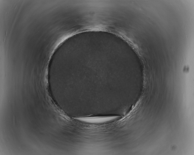X0000098231174200805011251