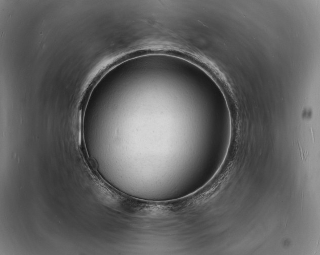 X0000098231175200805011251