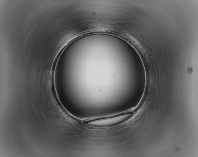 X0000098231178200805011251
