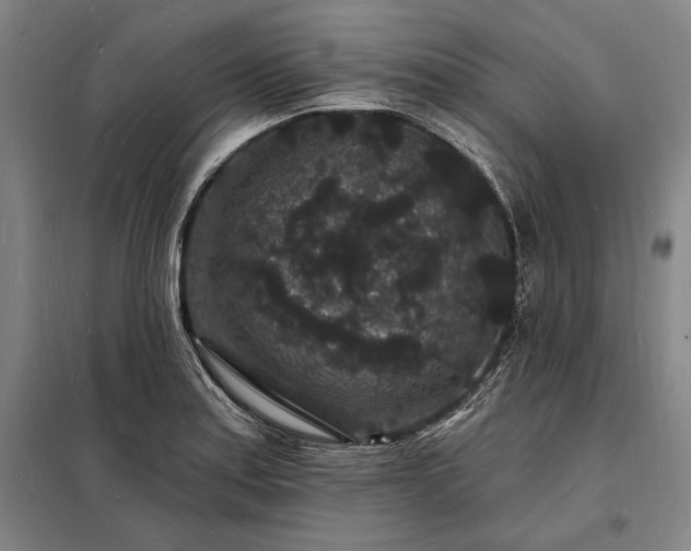 X0000098231179200805011251