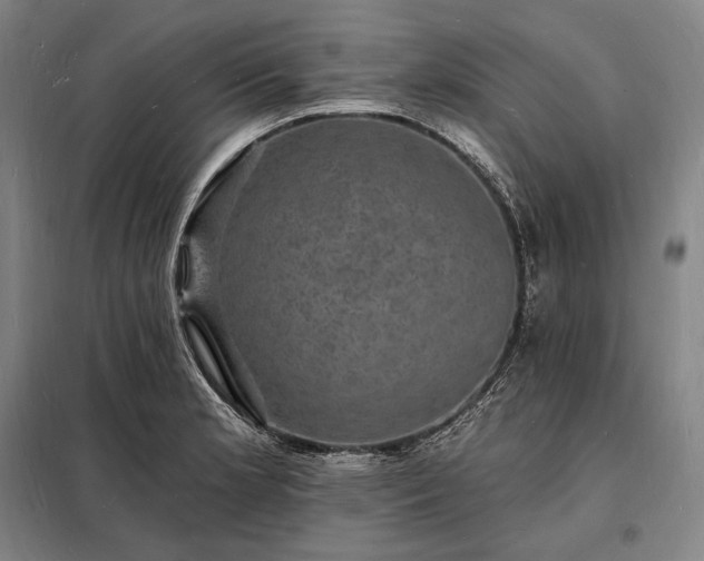 X0000098231181200805011251