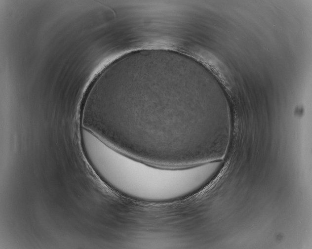 X0000098231184200805011250