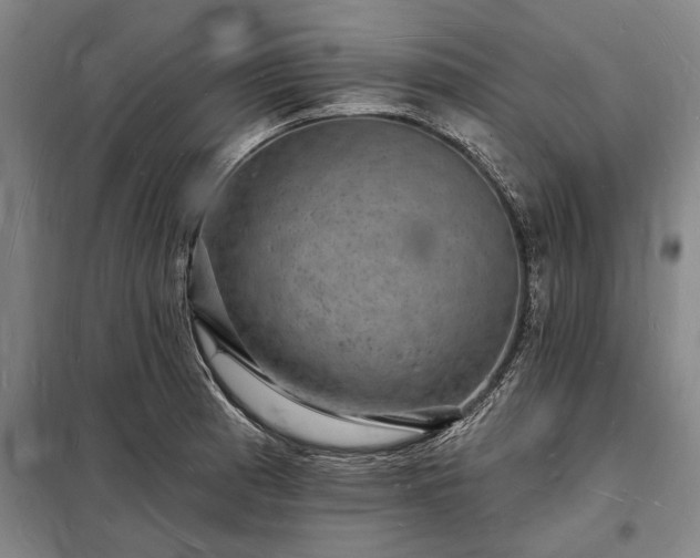 X0000098231185200805011250