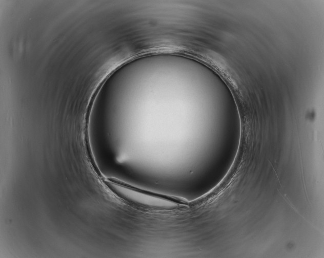 X0000098231186200805011250