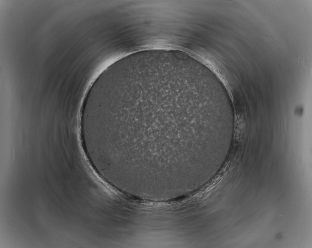 X0000098231187200805011250