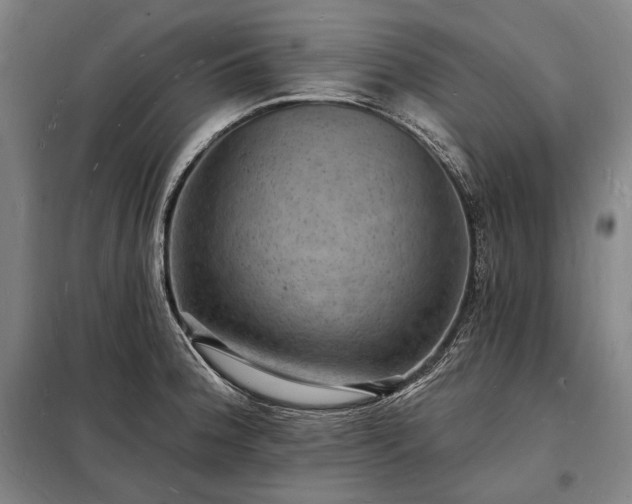 X0000098231188200805011250