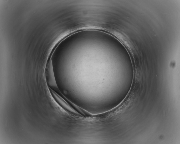 X0000098231189200805011250