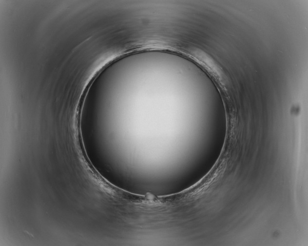 X0000098231190200805011250