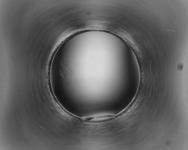 X0000098231192200805011250