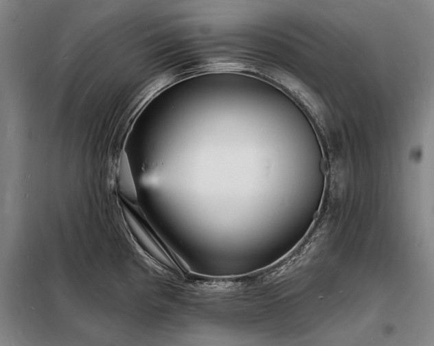 X0000098231193200805011250