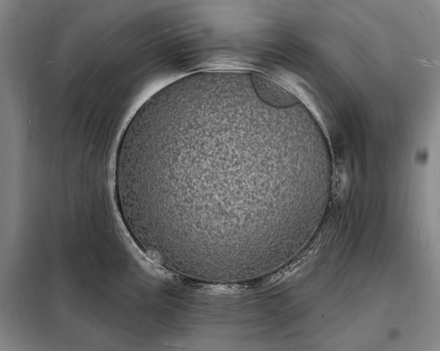 X0000098231195200805011250