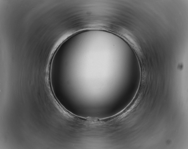 X0000098231196200805011250