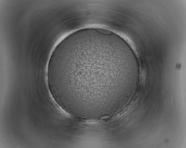 X0000098231199200805011250