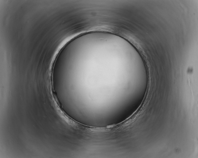 X0000098231200200805011250