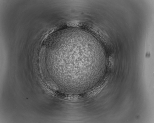 X0000098231201200805011250