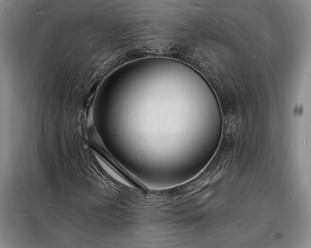 X0000098231202200805011250