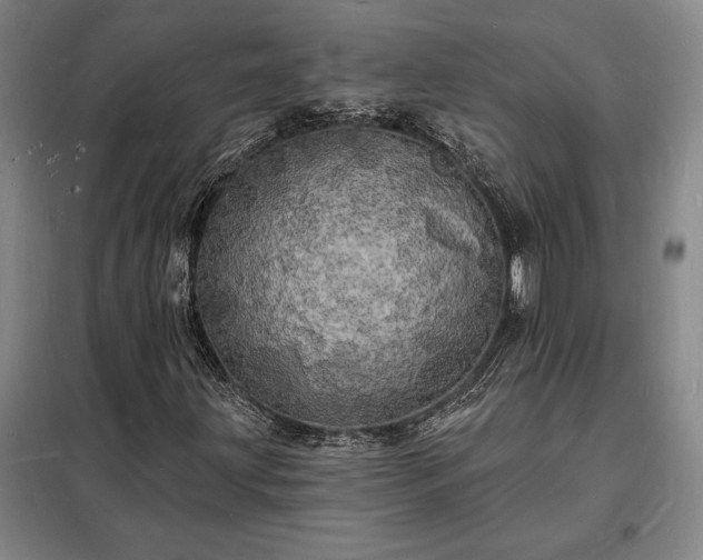 X0000098231203200805011250