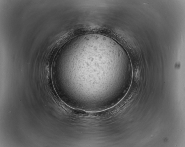 X0000098231204200805011250