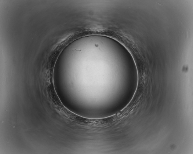 X0000098231205200805011250