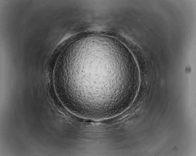 X0000098231206200805011250