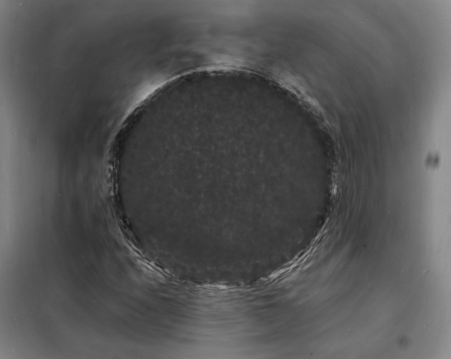 X0000098231208200805011250
