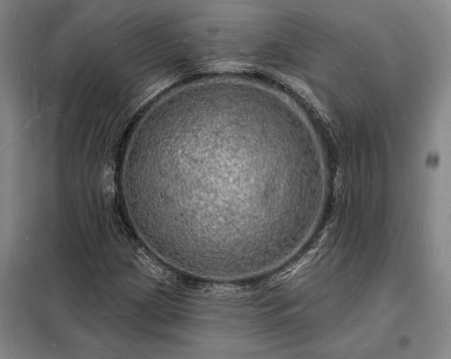 X0000098231209200805011250