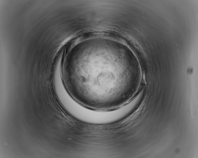 X0000098231210200805011250