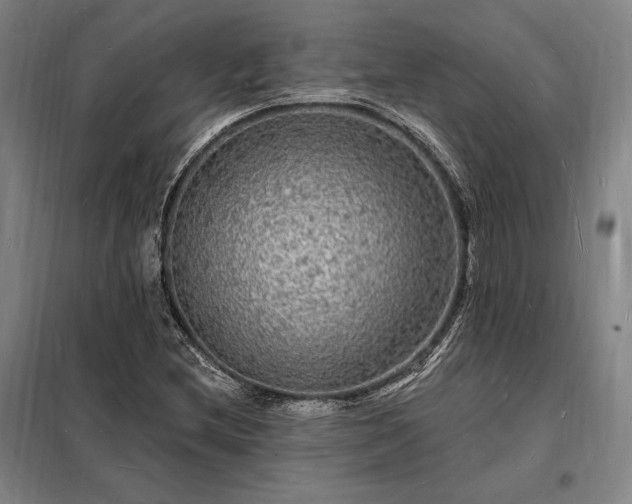 X0000098231212200805011250