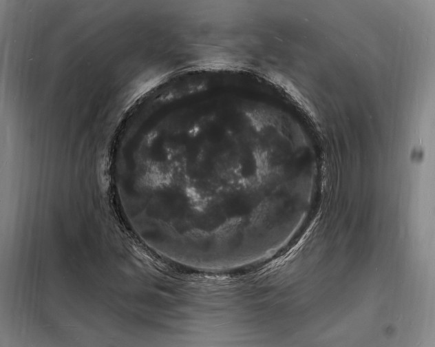 X0000098231213200805011250