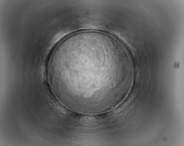 X0000098231215200805011250