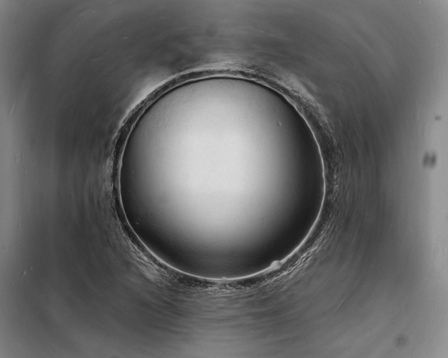 X0000098231216200805011250