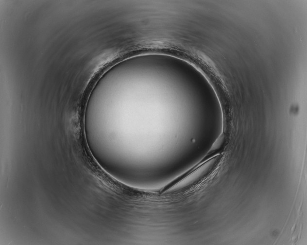 X0000098231218200805011250