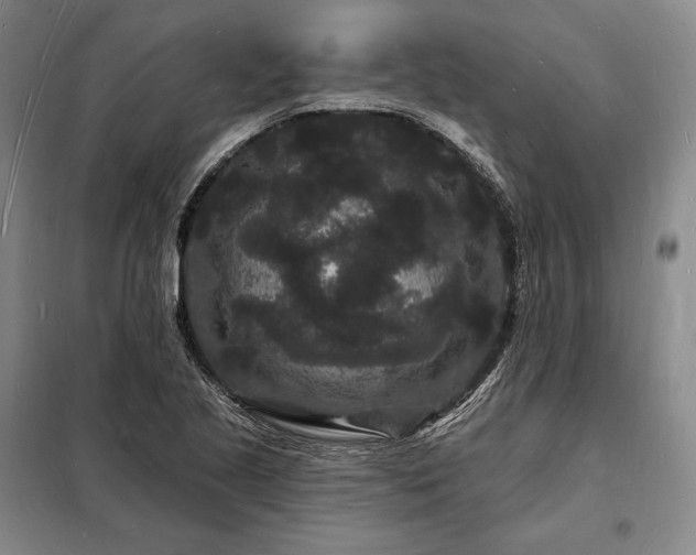 X0000098231221200805011250