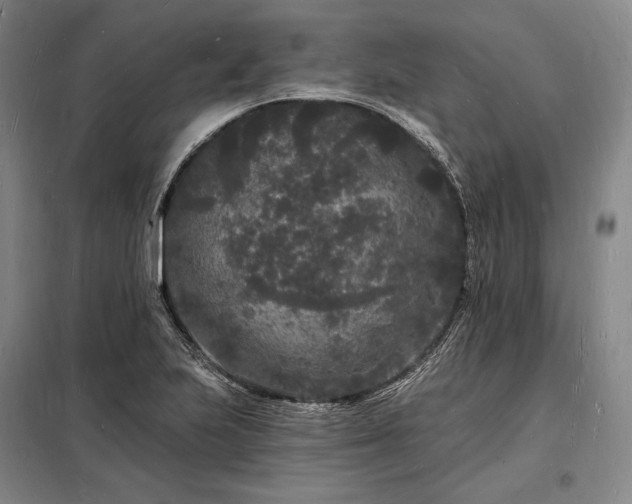 X0000098231223200805011250