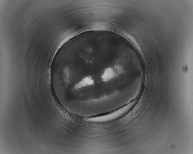 X0000098231226200805011250