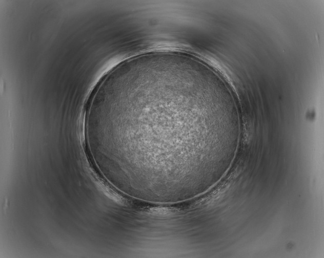 X0000098231227200805011250
