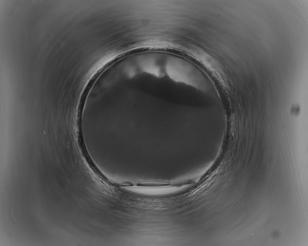 X0000098231229200805011250